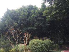 -光明港公园