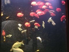 -弘安丽水温泉酒店