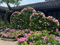 -无锡蠡湖国家湿地公园-蠡园