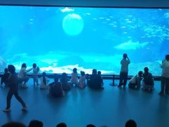 -海合安成都极地海洋公园
