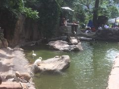 -燕塞湖鸟语林景区