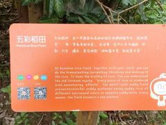 -前小桔亲子创意农场·草莓采摘·露营烧烤