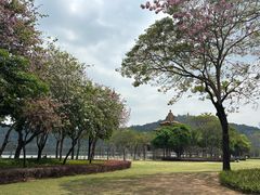 -顺峰山公园