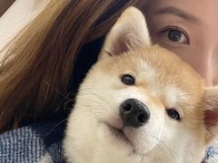 -逗柴咖啡屋·狗咖猫咖宠物桌游