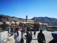 -新疆天山野生动物园