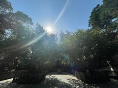 -大觉寺-停车场