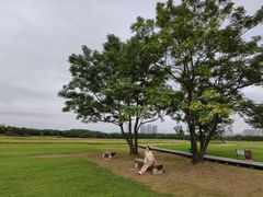 -盘龙城国家考古遗址公园