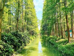 -上海怡沁园度假酒店