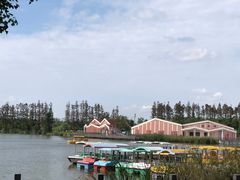 -上海长兴岛郊野公园