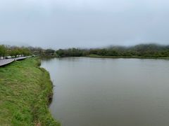 -大九湖