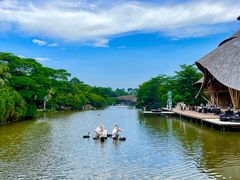 -南沙水鸟世界生态园