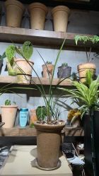 -青木造型HAIR·あおき髪を刈る潮人店