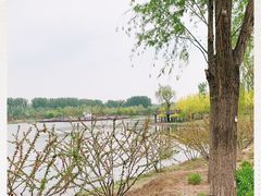 -东郊湿地公园