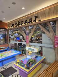 -卡通尼·Safari非洲探索乐园·生日会(金桥国际商业广场店)