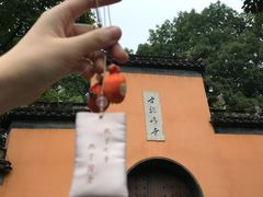 -鸡鸣赐茶(鸡鸣寺路店)