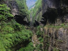 -鹿院坪生态旅游景区