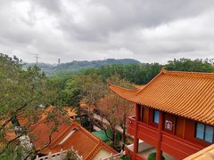 -深圳仙湖植物园