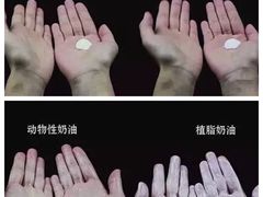 -美斯烘焙培训学院•蛋糕•面包•咖啡(宝安校区)