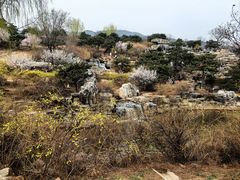 -北京西山国家森林公园