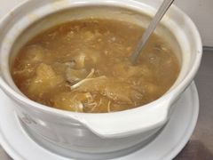 花胶海参砂锅鱼翅-添發碗仔翅美食