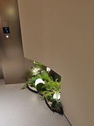 -美莱医疗美容医院