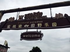 -田园东方蜜桃村的田野营地