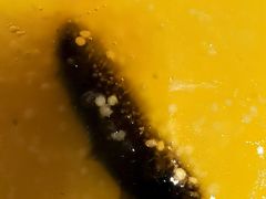 -印象餐厅(杭州国际博览中心北辰大酒店)