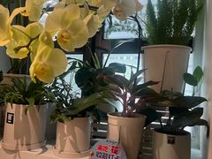 -懒人盐府人家(航天桥店)