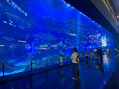 -成都浩海立方海洋公园