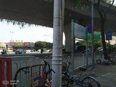 -东晓胜汇里(南洲北路店)