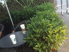-星巴克臻选(宁波世纪东方广场店)