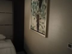 -苏州金鸡湖大酒店