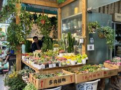 -双季花艺园艺市场(浦东店)