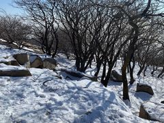 -泰山风景名胜区