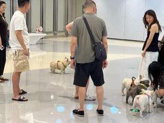 -首开·龙湖成都西宸天街
