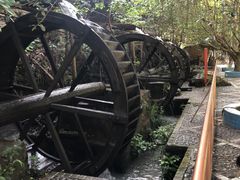 -四会奇石河风景区