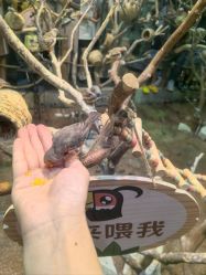 -Zoolung Zoolung动物主题公园(海信广场店)