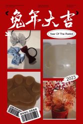 -星玥国际月子中心(天通苑店)