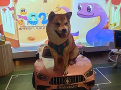 -百好乐宠物友好餐厅(朝外大街店)