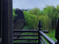 -大唐贡茶院