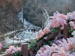 -少华山国家森林公园