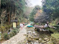 -明月山天沐温泉度假村