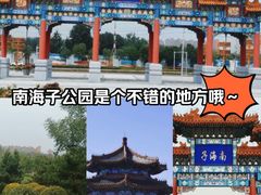 -南海子公园