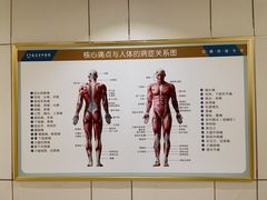 -通透堂中医·精准推拿(旗舰店)