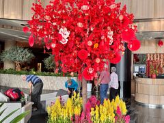 -樟宜机场皇冠假日酒店 （SG Clean） - IHG 旗下酒店