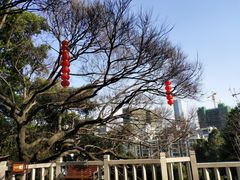 -乌山风景区
