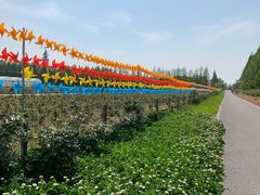 -上海长兴岛郊野公园