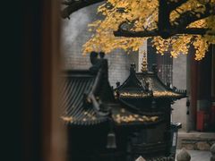 -大觉寺-停车场