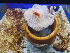 -江和美海洋公园