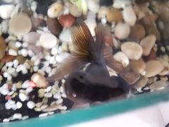 -青石桥市场北1-27号